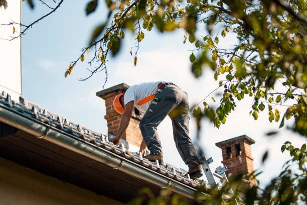 Best Flat Roof Repair Services  in Crane, TX