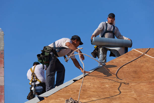 Best Storm Damage Roof Repair  in Crane, TX