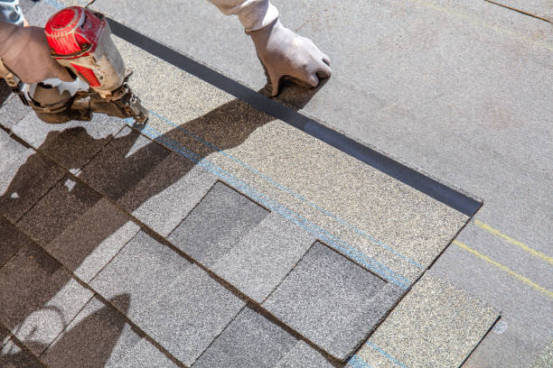 Best Roof Waterproofing Services  in Crane, TX